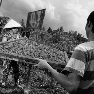 Preview of Makers Series 5: Marou, Faiseurs de Chocolat Preview of Makers Series 5: Marou, Faiseurs de Chocolat