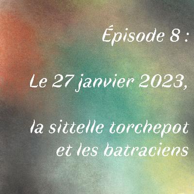 Épisode 8 : Le 27 janvier 2023, la sittelle torchepot et les batraciens