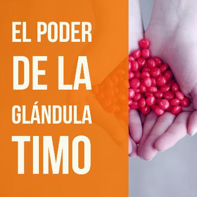 El poder de la glándula timo