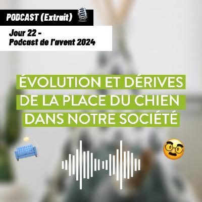 JOUR 22 - Évolution et dérives de la place du chien dans notre société [Podcast de l’avent 🎄]