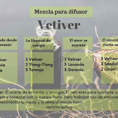 Vetiver ”El aceite de enfrentar y arraigar”