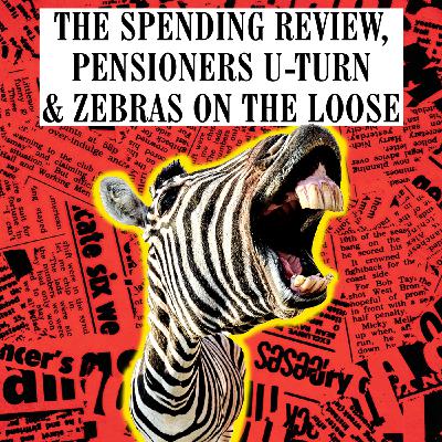 The Spending Review, Pensioner's U-Turn & Zebras on the Loose