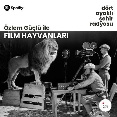 Film Hayvanları - Özlem Güçlü | Sibel Yardımcı’yla Güneyin Canavarları