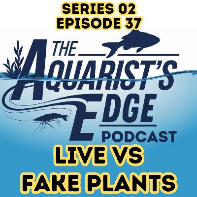 Live vs. Fake Aquarium Plants: Pros, Cons, and Care Tips for Every Aquarist