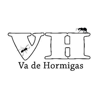 [ESPECIAL] - Agosto en el Aire 🐜 | Vuelos nupciales de hormigas en España