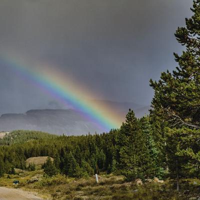 Dry Thunderstorm Bonus Dry Thunderstorm Bonus
