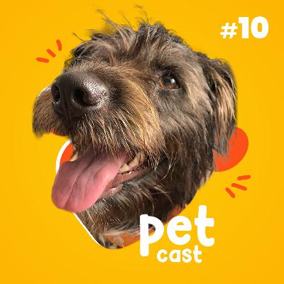 PetCast #10 - Balanço da temporada, Como se alimentar com consciência animal e história de Amor!