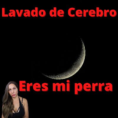 Lavado de cerebro , eres mi perra