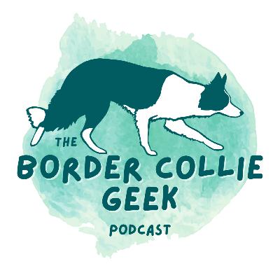 Struggling with recall around wildlife, joggers, or bikes?