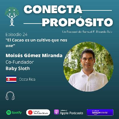 E24-Moisés Gómez-Baby Sloth