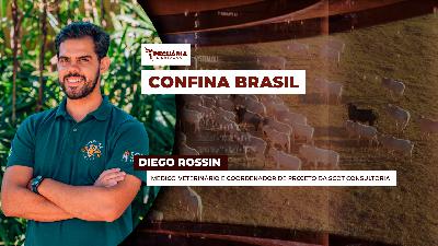 Confina Brasil da Scot Consultoria concluiu sua quarta e última etapa de avaliação de confinamentos pelo Brasil