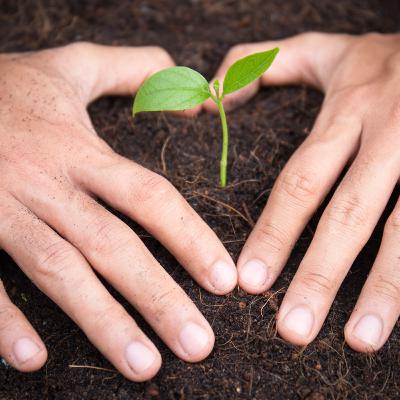 E56 - Ser buena tierra