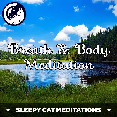 Connecting To Your Breath & Body (Guided Meditation)