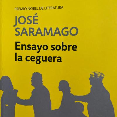 Ensayo sobre la ceguera