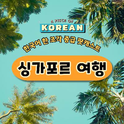 239. 싱가포르 여행 ✈️a trip to Singapore