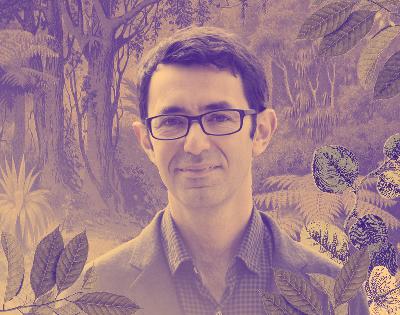 36. Thinking with plants – on Hildegard of Bingen’s ecological theology // MICHAEL MARDER