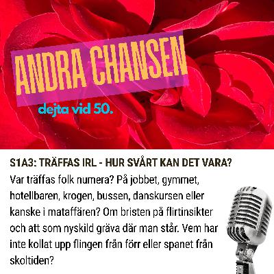 S1A3: TRÄFFAS IRL - HUR SVÅRT KAN DET VARA? S1A3: TRÄFFAS IRL - HUR SVÅRT KAN DET VARA?