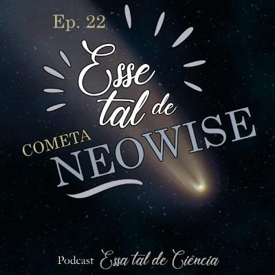 #22 Esse tal de Neowise