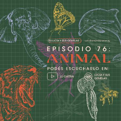 Animal. Episodio 76