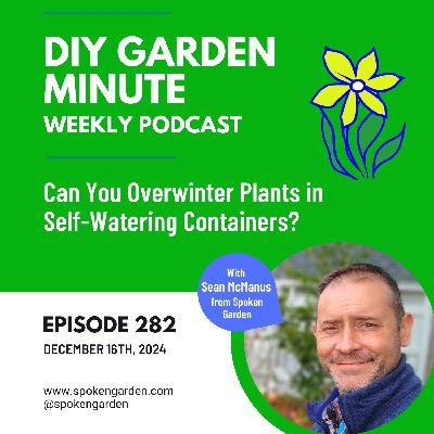 Can You Overwinter Plants in Self-Watering Containers?