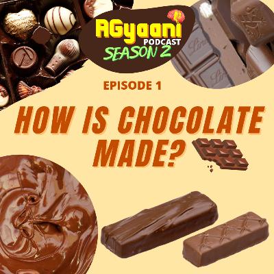 How is Chocolate Made? How is Chocolate Made?