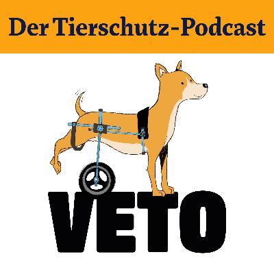 Ein Paradies für behinderte Hunde Ein Paradies für behinderte Hunde