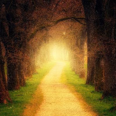 015 我的斗争史：重建与母父的关系，生长出了不起的自我 | 她说Herstory