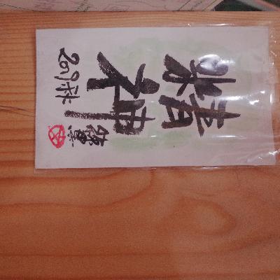 人生暂停键-触发！裸辞8个月后的慢生活分享