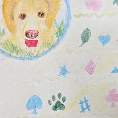 安妮與天使有約第186集：宇宙總是一步步的帶著想了解祂的靈魂去印證