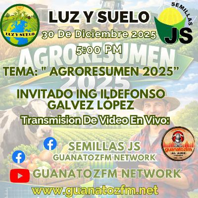 Luz y Suelo 30 De Diciembre 2025