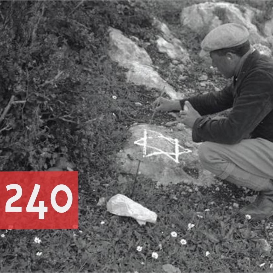📢פרק 240📢 episode artwork