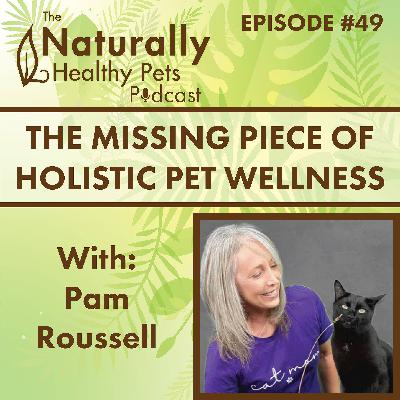 EP 49: The Missing Piece of Holistic Pet Wellness with Pam Roussell