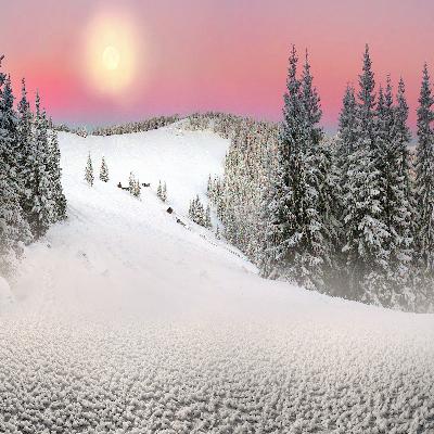 Winter idleness