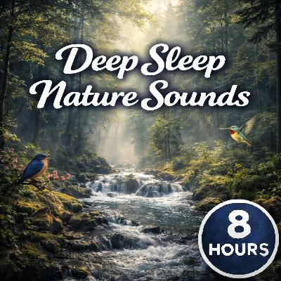 Nature Sounds Moving Through the Trees