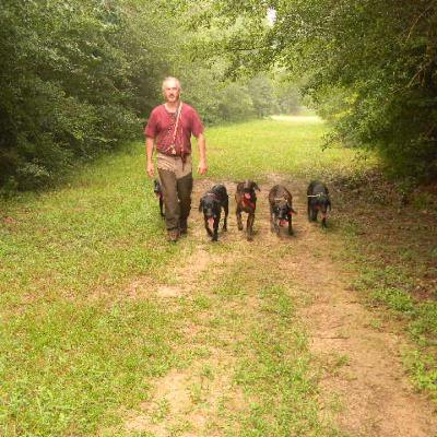 From the Bayou with Bite: Mike Cauley’s Plott Hounds Part 2