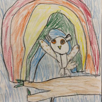 Owl Diaries: The Rainbow