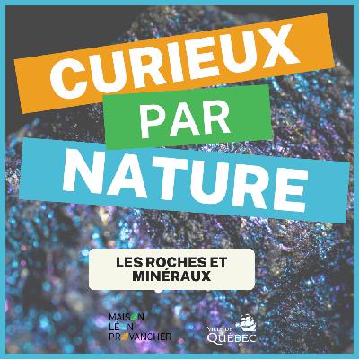 Curieux par Nature: Les roches et minéraux