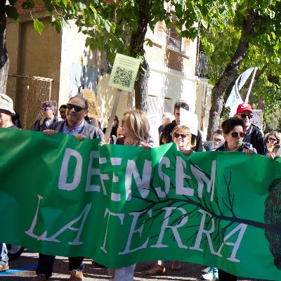 Sortim al carrer Sortim al carrer