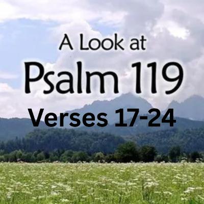 Psalm 119: 17-24