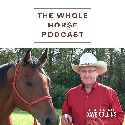 WH144 | On the shoulders of giants + with the wisdom of elders with Dave Collins