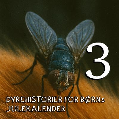 Julekalender - afsnit 3 Julekalender - afsnit 3