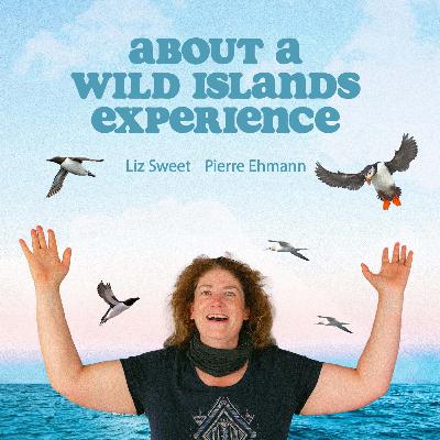 About 'a wild islands experience' the talk and film | Wild Islands Podcast