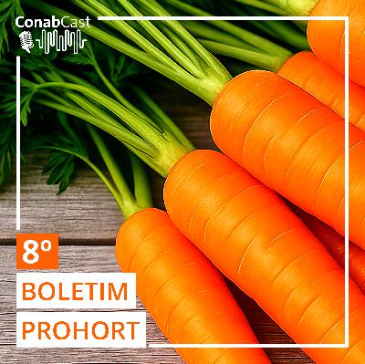 Boletim da Conab aponta queda para preços de batata e cebola nos principais mercados atacadistas