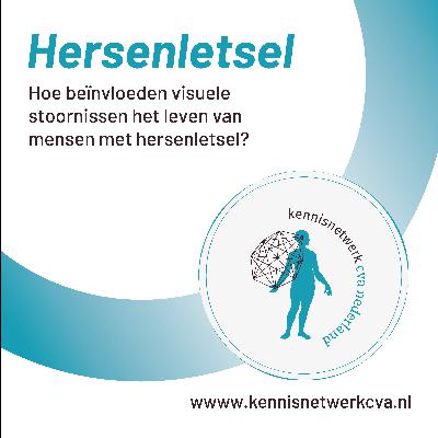 Hoe beïnvloeden visuele stoornissen het leven van mensen met hersenletsel? Hoe beïnvloeden visuele stoornissen het leven van mensen met hersenletsel?