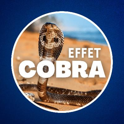 Qu'est-ce que l'effet Cobra ? 🐍 (Il nous menace tous...)