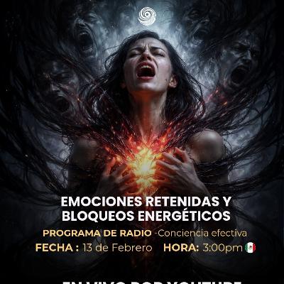 Hipnovida 13 De Febrero 2026