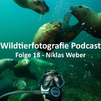 Wildtierfotografie Podcast - Folge #18 - Niklas Weber