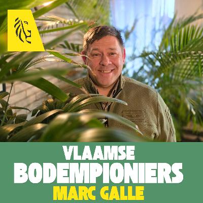De mooiste tuin dankzij een gezonde bodem