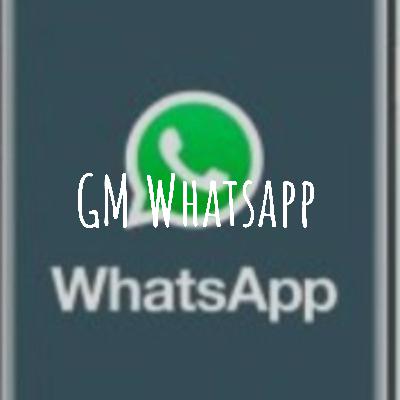 What is GM Whatsapp?