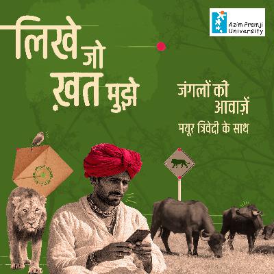 जंगलों की आवाज़ें | Sounds Of The Forest जंगलों की आवाज़ें | Sounds Of The Forest